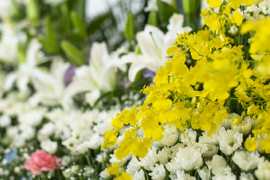 家族葬・一日葬・直葬